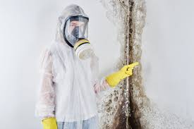 Mold Remediation for Rental Properties in Murphysboro, IL